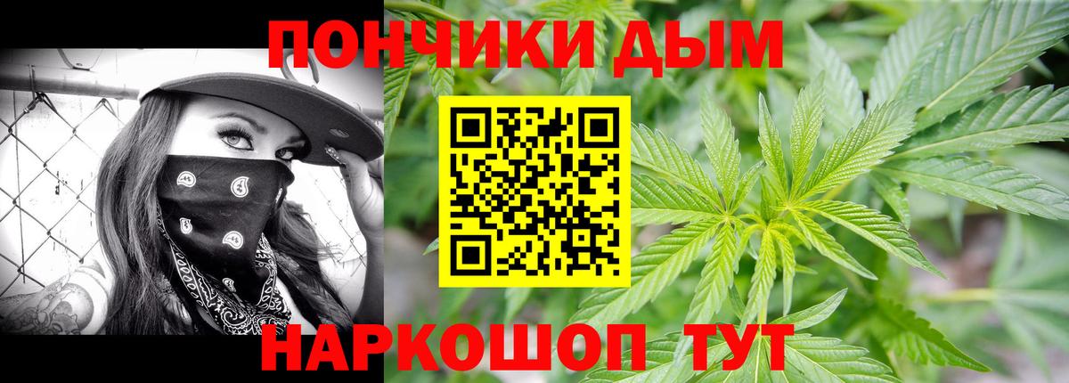Каннабис план Луховицы